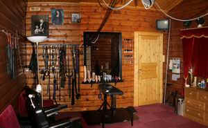 The
        Playroom/BDSM dungeon